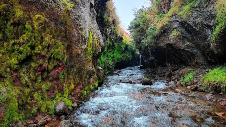 چشم‌انداز بکر